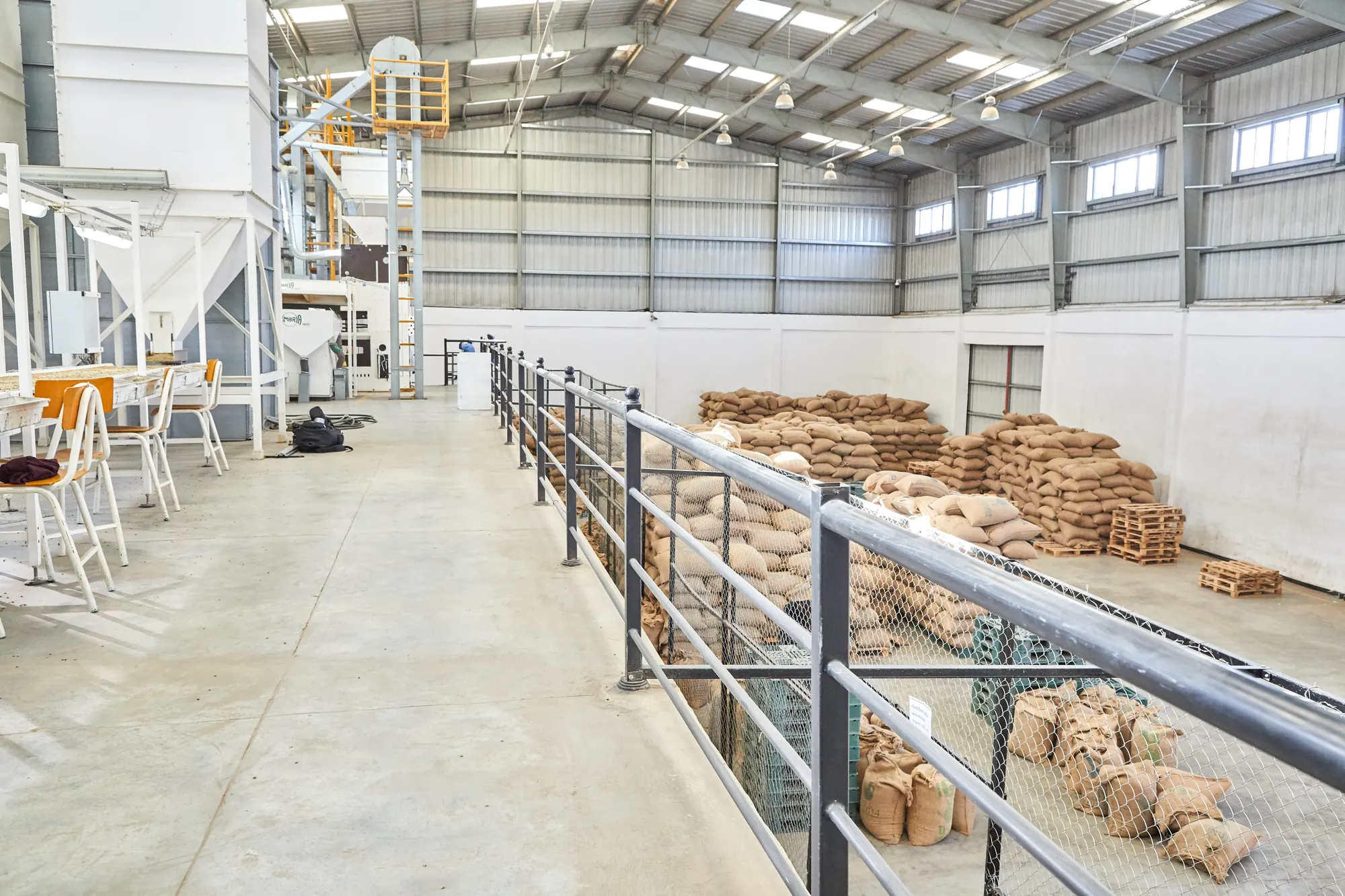 Coffee processing hall with sacks ready for export